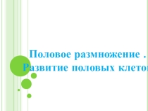 Презентация по биологии на тему Половое размножение. Развитие половых клеток.