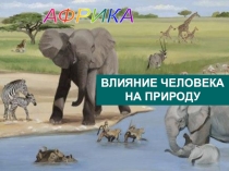 Презентация по географии на тему Африка. Влияние человека на природу (7 класс)