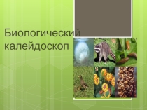 Конспект открытия мероприятия Недели естественных наук и игра на тему Биологический калейдоскоп
