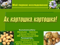 Презентация к исследовательской работе Ах,картошка,картошка!