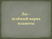 Презентация для классного часа Зелёный наряд планеты