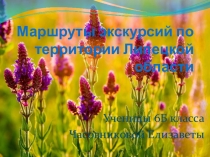 Экскурсия по интересным и красивым местам