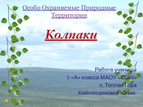 Презентация к уроку экология Колпаки- особо охраняемая территория.