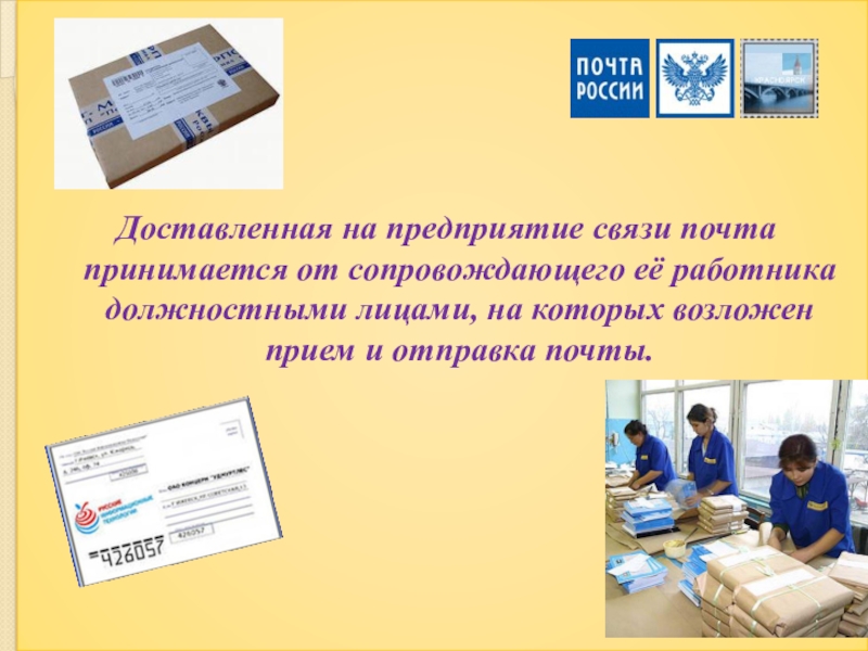 Презентация по профессии 11.01.08 Оператор связи на тему: Оформление выявленных нарушений НТД ПМ.01 Прием, сортировка, вручение и контроль почтовых отправлений, оформление почтовых операций Доставленная на предприятие связи почта принимается от сопровождающего её работника должностными Доставленная на предприятие связи почта принимается от сопровождающего её работника должностными лицами, на которых возложен прием и