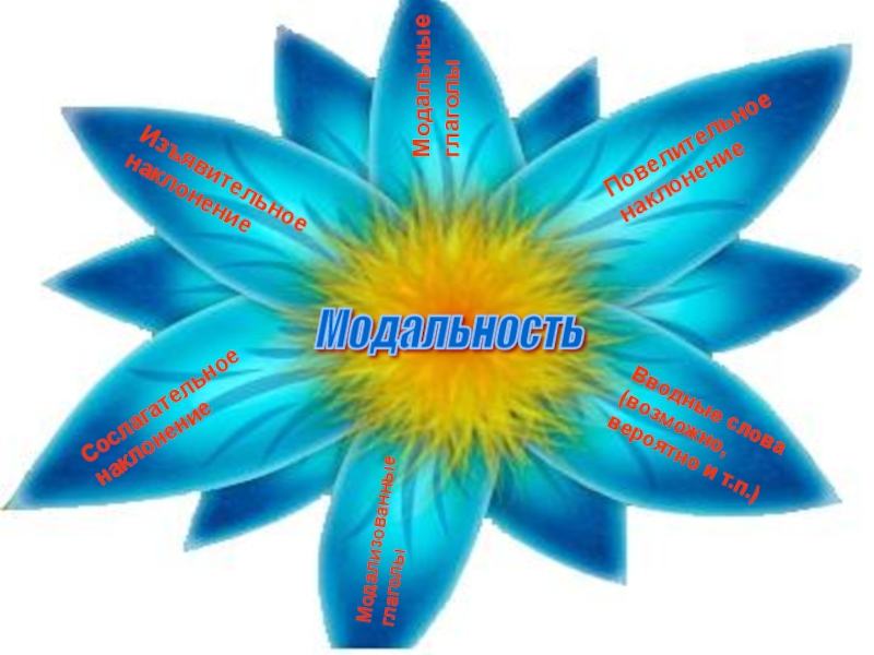Модальные оттенки глаголов can'', may и must в романе Э. Бронте Грозовой перевал Модальность Изъявительное наклонениеПовелительное наклонениеСослагательное наклонениеМодальные глаголыМодализованные глаголыВводные слова (возможно, вероятно и т.п.) Модальность Изъявительное наклонениеПовелительное наклонениеСослагательное наклонениеМодальные глаголыМодализованные глаголыВводные слова (возможно, вероятно и т.п.)