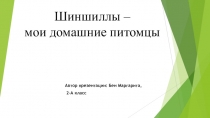 Презентация по окружающему миру Мои домашние питомцы- шиншилы (2 класс)(Бен Маргарита)