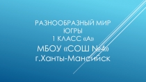 Презентация к уроку Разнообразный мир Югры