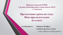 Презентация по русскому языку на тему: Имя прилагательное