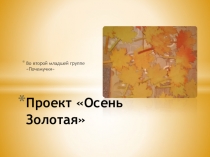 Проект для второй младшей группы