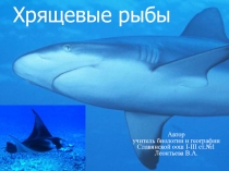 Презентация по теме Хрящевые рыбы
