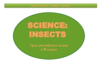 Insects