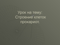Презентация по биологии 10 класс Клетки прокариот