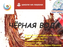 Исследовательская работа Чёрная вода