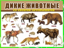 Презентация по миру природы на тему Дикие животные