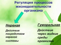 Презентация по биологии на тему Железы внутренней секреции