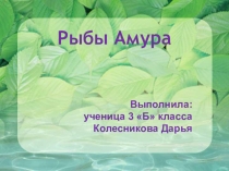 Презентация по окружающему миру на тему Рыбы Амура