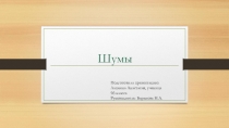 Презентация по теме Шумы