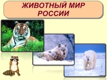 Презентация Животный мир России 8 класс