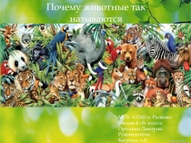 Презентация Почему животные так называются?