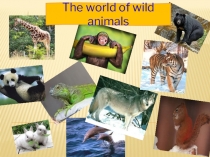 Презентация по английскому языку на тему  Сравнительная степень прилагательных