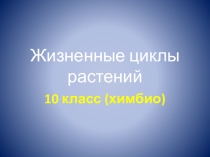 Презентация Жизненные циклы растений для 10 химико-биологического класса