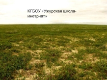 Презентация, Растительный мир зоны Тундры (7 класс, дети с ОВЗ)
