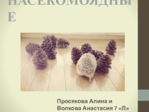 Презентация по биологии на тему: Отряд Насекомоядные (7 класс)
