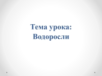 Презентация по биологии на тему Водоросли