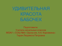 Презентация Удивительная красота бабочек