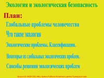 Презентация по географии на тему Экологическая безопасность
