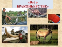 Презентация к классному часу: Всё о браконьерстве и его последствиях