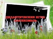 Презентация по экологии Дидактические игры Насекомые