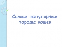 Презентация Самые популярные породы кошек к исследовательской работе Эти удивительные кошки