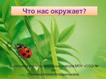 Презентация Что нас окружает