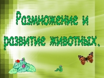 Презентация по познанию мира на темуРазмножение и развитие животных