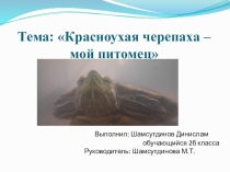 Презентация по окружающему миру на тему Красноухая черепаха - мой питомец (2 класс)