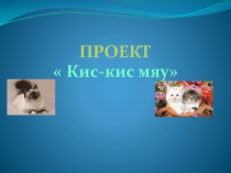 Презентация праздника в младшей группе Кис-кис-мяу