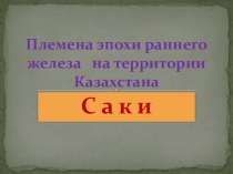 Презентация по истории Казахстана на тему Саки