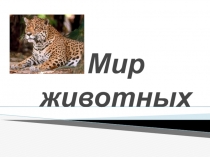 Презентация по окружающему миру Мир животных.