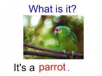 Презентация по английскому языку для 2 класса на тему My animals