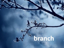 Презентация по английскому языку Step 4 Unit 3 (7 класс)