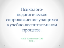 Презентация психолого-педагогическое сопровождение учащихся