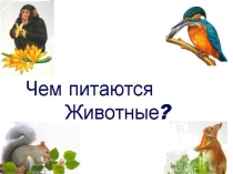 Презентация по биологии на тему Особенности питания животных (6 класс)