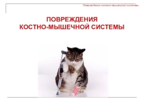 Презентация Травмы опорно-двигательного аппарата
