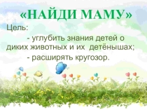 Презентация к дидактической игреНайди маму