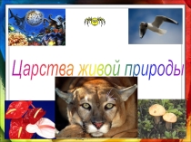 Урок презентация по биологии на тему: Царства живой природы