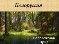 Презентация для внеклассного мероприятия по теме Белоруссия