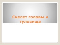 Презентация к уроку по теме Скелет головы и туловища