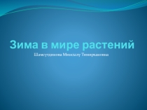 Презентация по окружающему миру Зима в мире растений