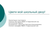 Презентация по географии на тему: Цвети мой школьный двор!